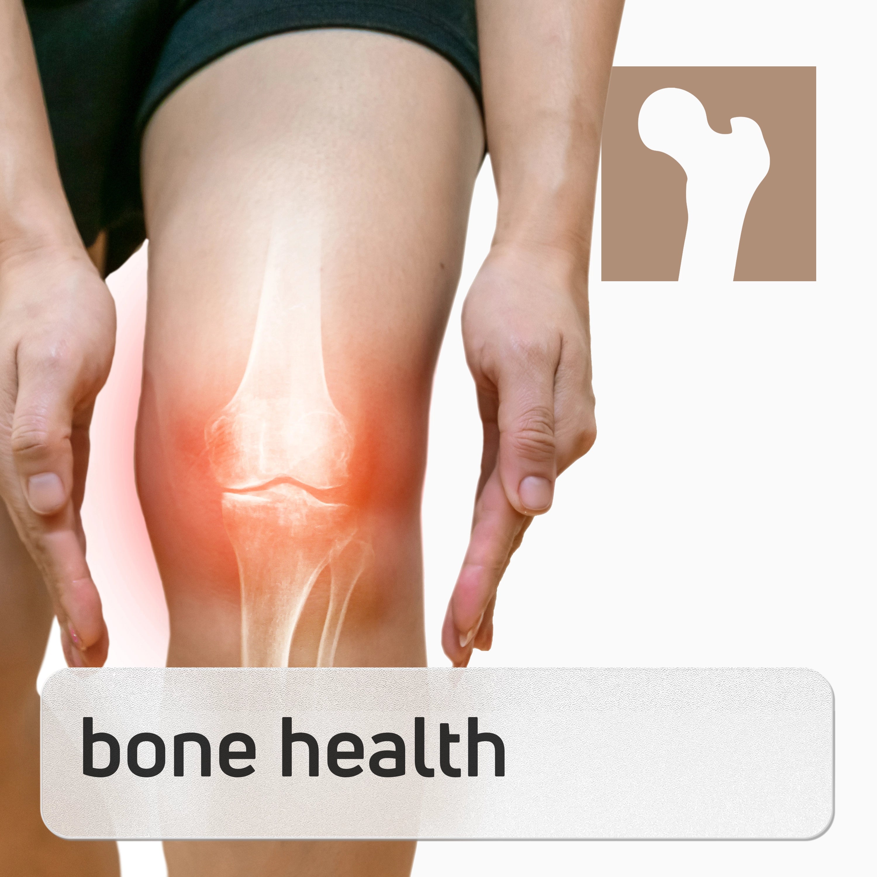 Bone Health Panel